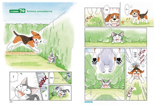 Милый дом Чи. Книга 4 2