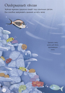 Океанариум 2