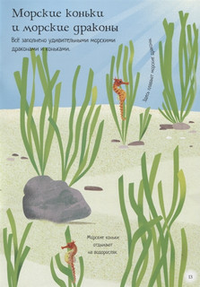 Океанариум 5