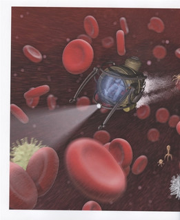 Охота на вирус. Невероятное путешествие по телу человека в погоне за опасной инфекцией 6