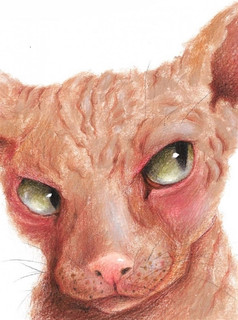 Морской Волк 3