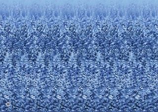 Альбом для тренировки зрения 2