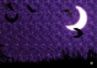 Альбом для тренировки зрения 4