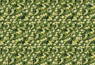 Асборн - карточки. Стереокартинки для всей семьи 2