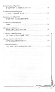 Нэнси Дрю и происшествие на горнолыжном курорте 3