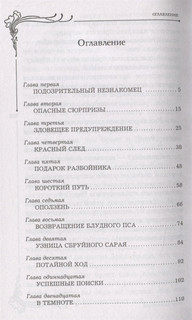 Нэнси Дрю и тайна Тенистого ранчо 2