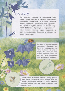 Мир насекомых. Познавательные наклейки 4