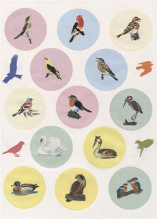 Птицы. Познавательные наклейки 2