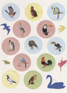 Птицы. Познавательные наклейки 3
