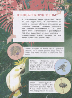 Птицы. Познавательные наклейки 4