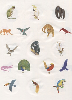 Животные жарких стран. Познавательные наклейки 2