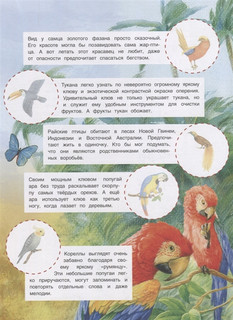 Животные жарких стран. Познавательные наклейки 4