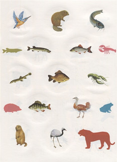 Животные России. Познавательные наклейки 3