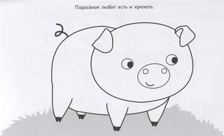 Божья коровка. Раскраска с наклейками 4