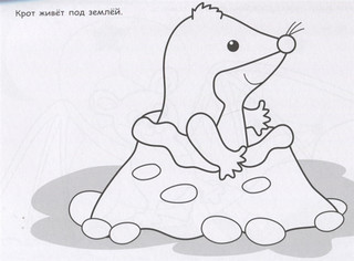 Ежик. Раскраска с наклейками 2