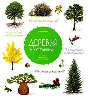 Деревья и кустарники 7
