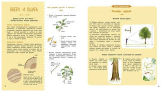 Деревья и кустарники 8