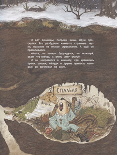 Кто украл орехи? 3