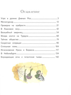 Маленькая ведьмочка Флора. Секрет волшебного леса 4