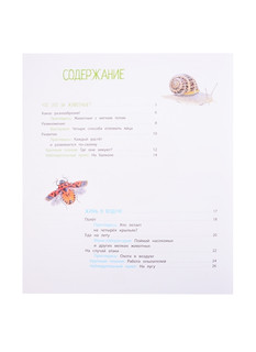 Насекомые и другие маленькие животные 2