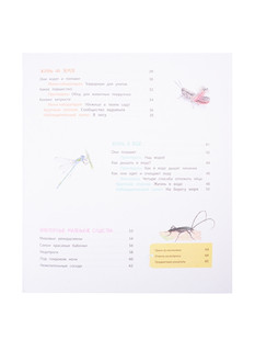 Насекомые и другие маленькие животные 3