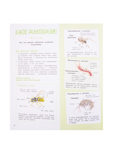 Насекомые и другие маленькие животные 4