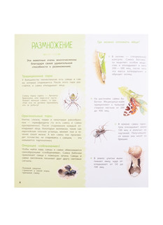 Насекомые и другие маленькие животные 6