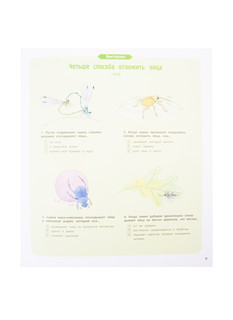 Насекомые и другие маленькие животные 7