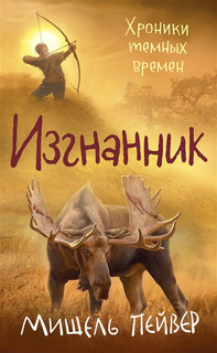 Хроники темных времен. Книга 4. Изгнанник 1