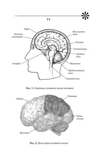 Тренировка мозга. Самоучитель 13