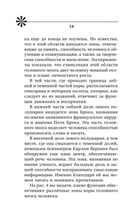 Тренировка мозга. Самоучитель 16