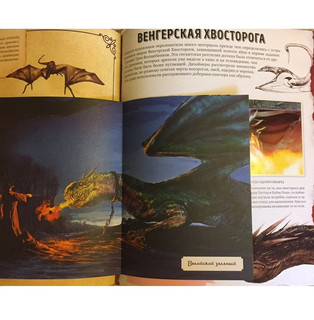 Волшебный мир Джоан К. Роулинг. Том второй. Фантастические существа 2