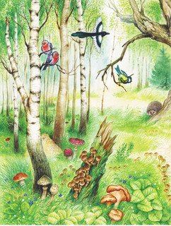 Рассказы и сказки про животных 5