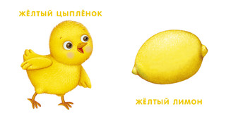 Книжки - картонки. Мои первые цвета 4