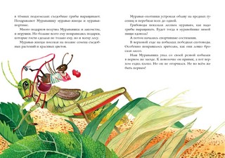 Муравьишкина история 3