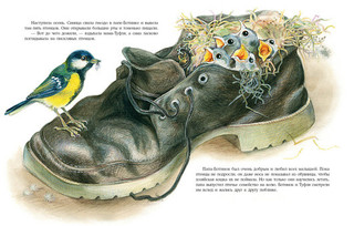 Что творится в обувнице? 3