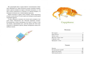 Растрёпанный воробей 8