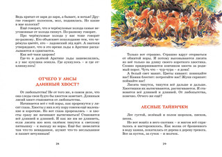 Лесные тайнички 6