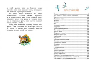 Беспокойный хвостик 8