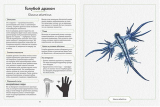 Энциклопедия опасных животных 2