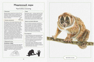 Энциклопедия опасных животных 3