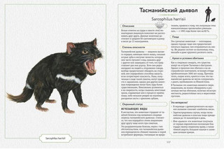 Энциклопедия опасных животных 5