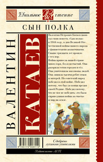 Сын полка 12