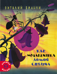 Как муравьишка домой спешил 1