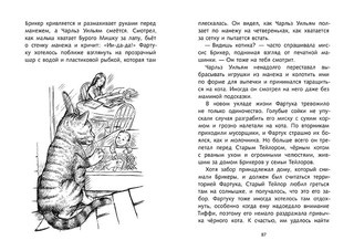 Кот Фартук 4