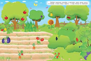 В саду и огороде 2