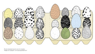 Найди и раскрась. Усатый-полосатый 3