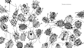 Найди и раскрась. Усатый-полосатый 4