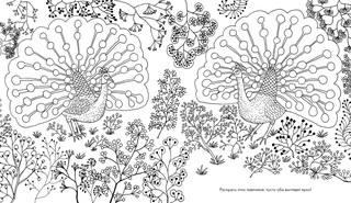 Найди и раскрась. Усатый-полосатый 5