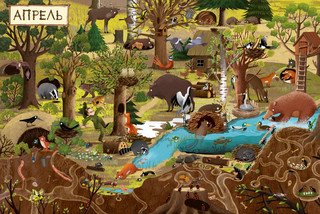 Год в лесу. Найди и покажи 2